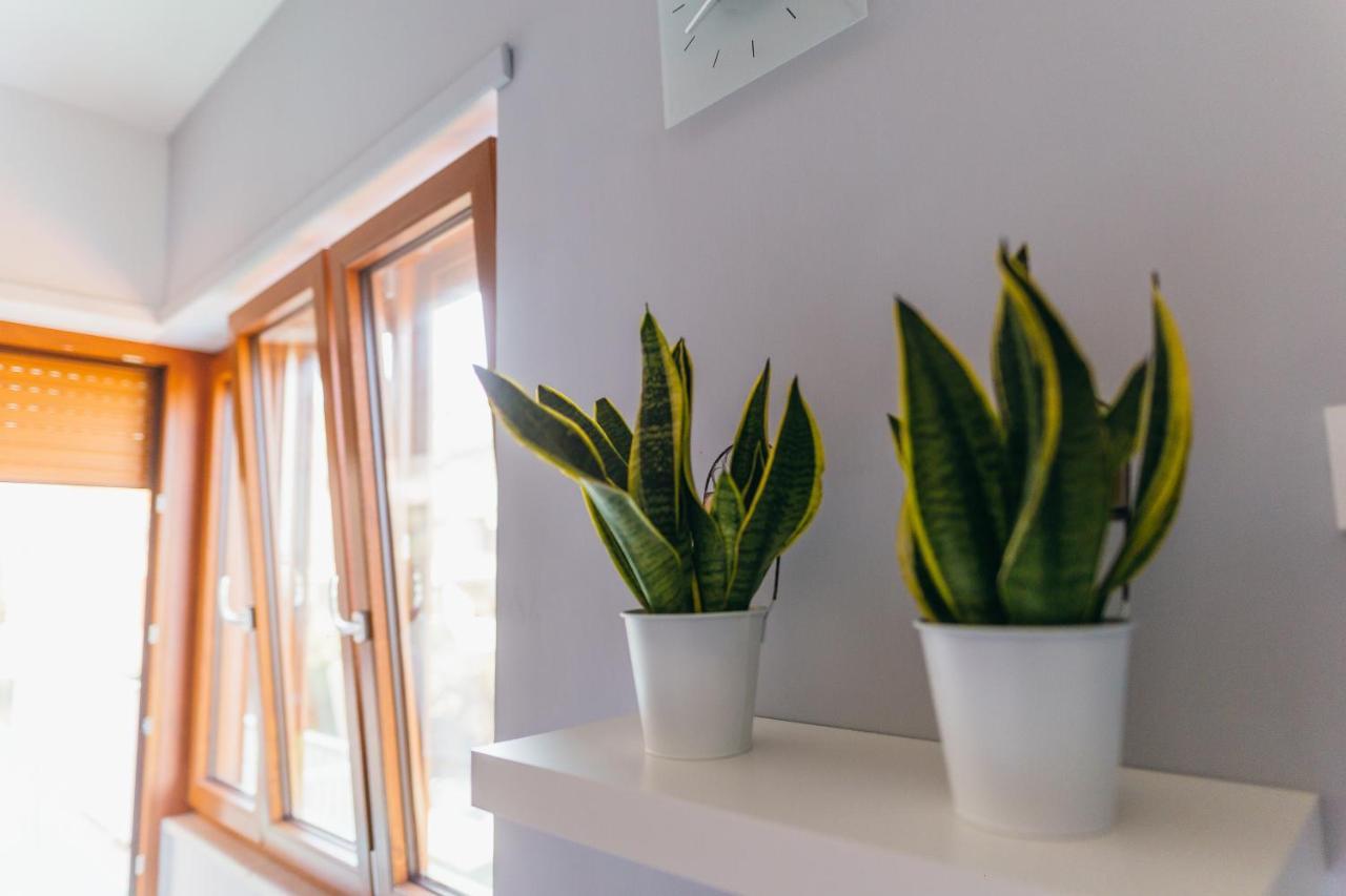 Sorrento City Apartment المظهر الخارجي الصورة